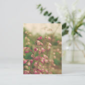 Carte Postale Corelbells, Fleurs de printemps (Debout devant)