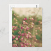 Carte Postale Corelbells, Fleurs de printemps (Devant / Derrière)