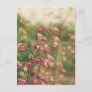 Carte Postale Corelbells, Fleurs de printemps