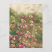 Carte Postale Corelbells, Fleurs de printemps (Devant)