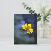 Carte postale Coreopsis (Debout devant)