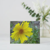 Carte Postale Coréopsis (Debout devant)