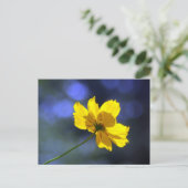 Carte postale Coréopsis orange jaune (Debout devant)