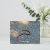 Carte Postale Corfou, Grèce (Debout devant)