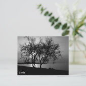 Carte Postale Corfou Times (Debout devant)