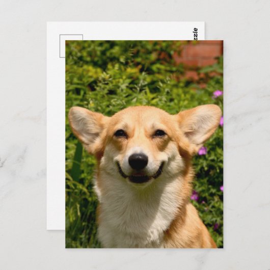 Carte postale Corgi (Devant / Derrière)