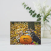 Carte Postale Corgi Chien Citrouille Automne Photo Merci (Debout devant)