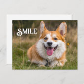 Carte Postale Corgi Chien souriant Drôle Animal Sourire (Devant / Derrière)
