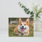 Carte Postale Corgi Chien souriant Drôle Animal Sourire (Debout devant)