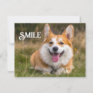 Carte Postale Corgi Chien souriant Drôle Animal Sourire
