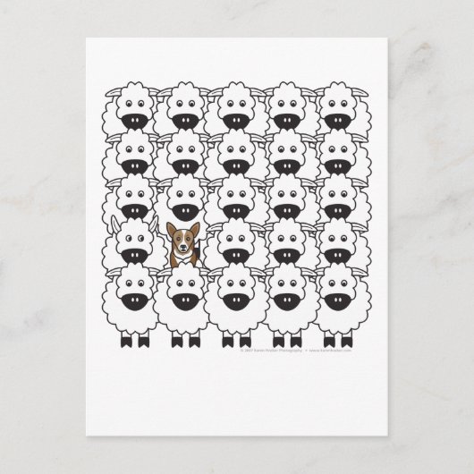 Carte Postale Corgi dans le mouton (Devant)