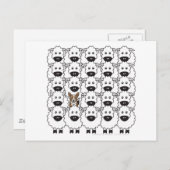 Carte Postale Corgi dans le mouton (Devant / Derrière)