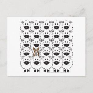 Carte Postale Corgi dans le mouton