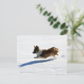 Carte Postale Corgi de Gallois de cardigan de vol (Debout devant)