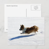 Carte Postale Corgi de Gallois de cardigan de vol (Devant / Derrière)