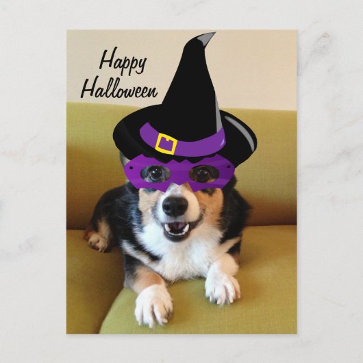 Carte Postale Corgi drôle d'Halloween en costume (Devant)