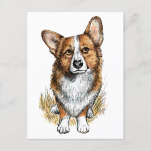 Carte Postale Corgi et vaches