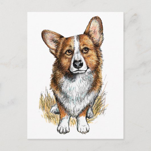 Carte Postale Corgi et vaches (Devant)