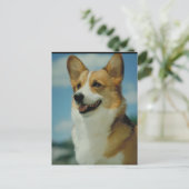 Carte Postale Corgi gallois (Debout devant)