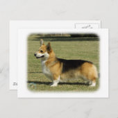 Carte Postale Corgi gallois (Pembroke) (Devant / Derrière)
