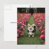 Carte Postale Corgi mignonne en Rose (Devant / Derrière)