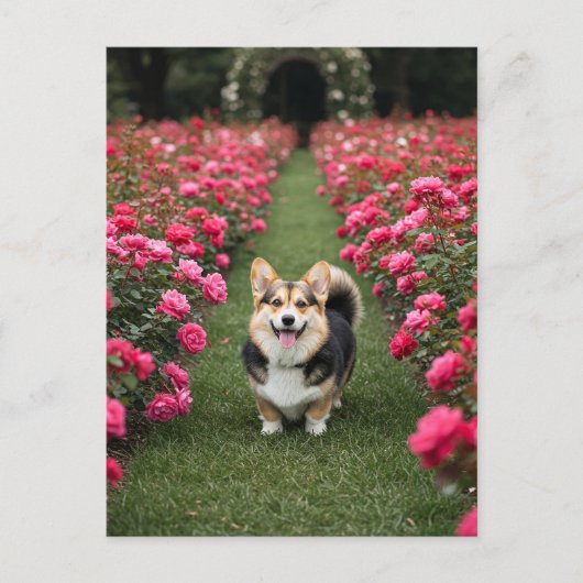Carte Postale Corgi mignonne en Rose (Devant)