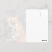 Carte Postale Corgi volant (Dos)