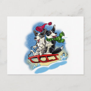 Carte Postale Corgis d'hiver