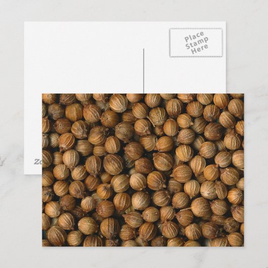 Carte Postale Coriander (Devant / Derrière)