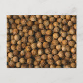 Carte Postale Coriander (Devant)