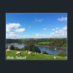 Carte postale Cork, Irlande<br><div class="desc">La campagne irlandaise typique capturée par un verre immortalisé sur une carte postale. Il présente ce que l'Irlande est connue pour.. champs verts,  ciels bleus avec nuages et moutons.</div>