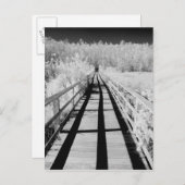 Carte Postale Corkvis Swamp Sanctuary walk, Floride, (Devant / Derrière)