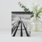 Carte Postale Corkvis Swamp Sanctuary walk, Floride, (Debout devant)