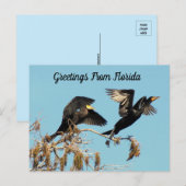 Carte Postale Cormorant à deux pieds - Salutations (Devant / Derrière)