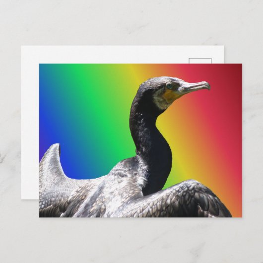 Carte postale Cormorant Rainbow do-it-yourself (Devant / Derrière)