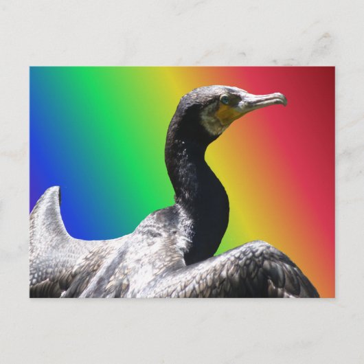 Carte postale Cormorant Rainbow do-it-yourself (Devant)