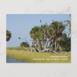 Carte postale Cormorant Rookery