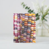 Carte Postale Corn indien (Debout devant)