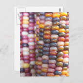 Carte Postale Corn indien (Devant / Derrière)