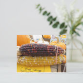 Carte Postale Corn indien (Debout devant)