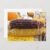 Carte Postale Corn indien (Devant / Derrière)