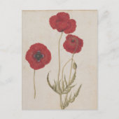 Carte Postale Corn Poppies par Jacques de Morgues (Devant)
