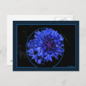 Carte Postale Corne (Devant / Derrière)