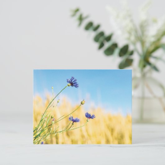 Carte Postale Corne (Debout devant)