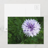 Carte Postale Corne (Devant / Derrière)