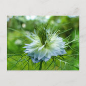 Carte Postale Corne (Devant)