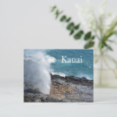 Carte Postale Corne avec conjoint à Kauai, Hawaii (Debout devant)