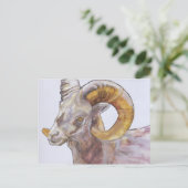 Carte Postale Corne longue américaine 2004 (Debout devant)