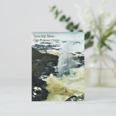 Carte Postale Corne pondeuse, Cape Perpetua, Voiture postale de (Debout devant)