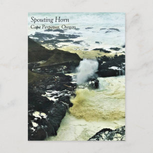 Carte Postale Corne pondeuse, Cape Perpetua, Voiture postale de 